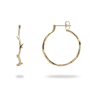 Heritage Hoop Earrings in Gold - 25mm